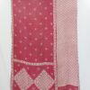 Paisley Twin Bohemian Vinatge Kantha Quilt - Image 3